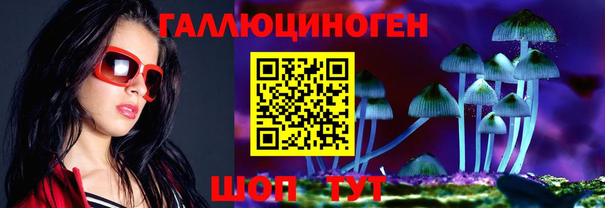 Галлюциногенные грибы Magic Shrooms  Псилоцибиновые грибы Magic Shrooms  Приморско-Ахтарск  Вход с VPN 